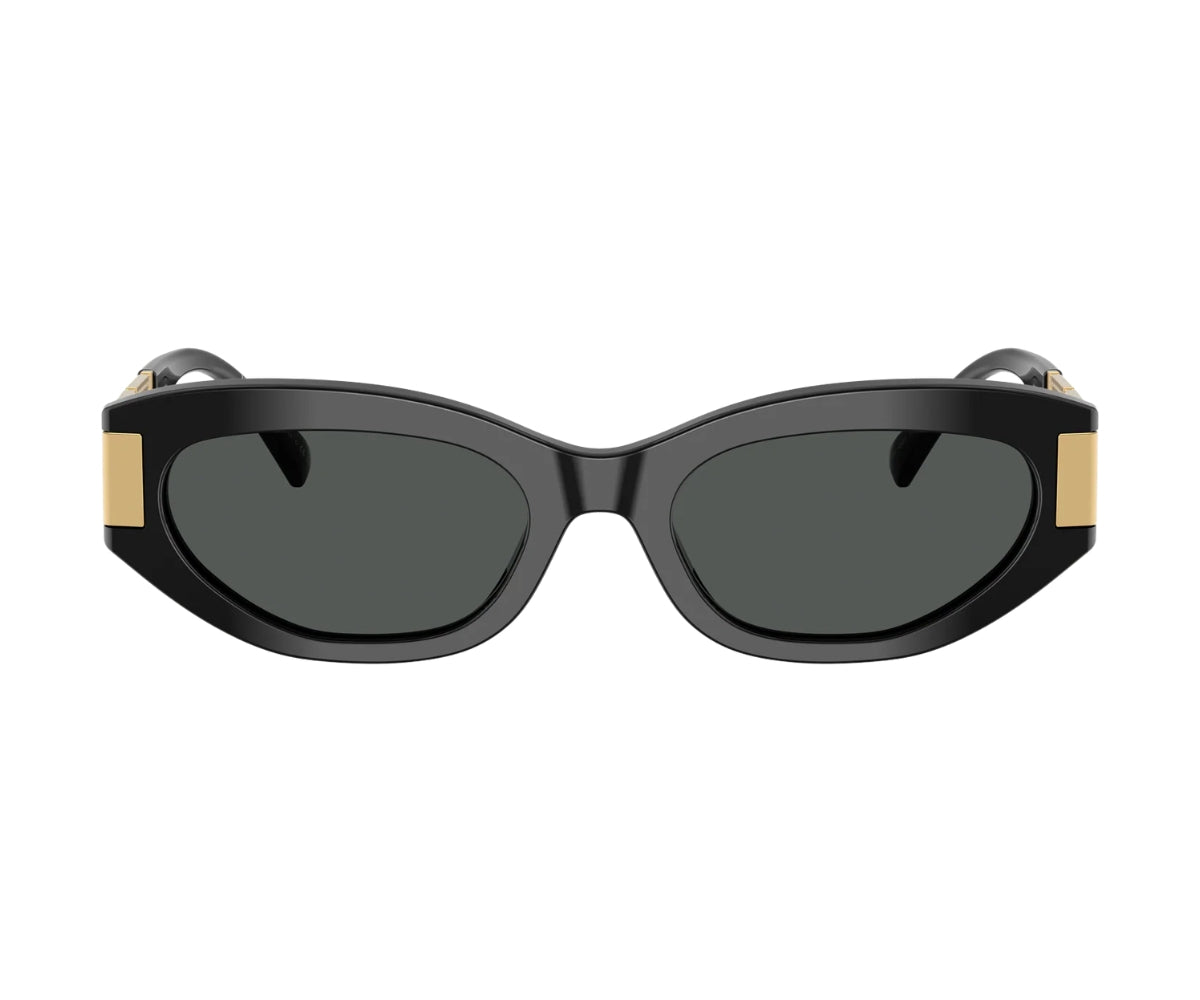 Versace_Sunglasses_4501_GB1/87_54_0