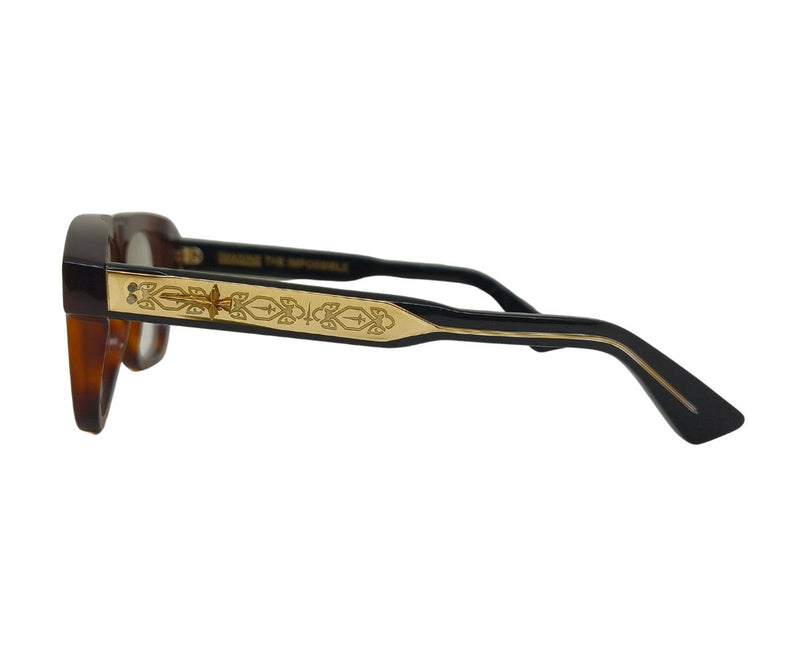 IMAGINE N420V43 HAVANA BROWN 55 - GEM Opticians