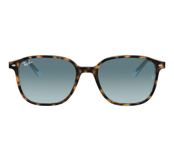 Rayban_Sunglasses_Leonard_2193_1316/3M_53_0