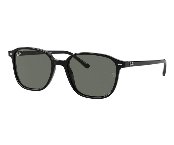 Rayban_Sunglasses_Leonard_2193_901/58_53_45