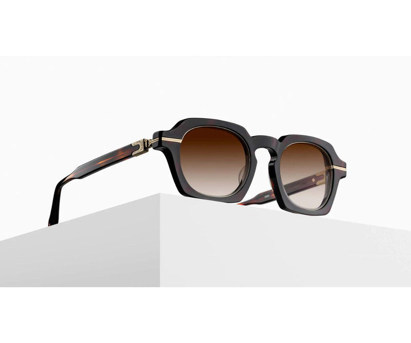 M2055 DARK TORTOISE - ANTIQUE GOLD 48 - GEM Opticians