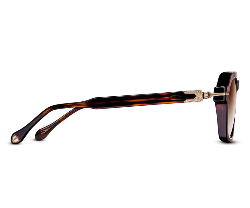 M2055 DARK TORTOISE - ANTIQUE GOLD 48 - GEM Opticians