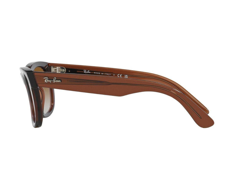 Rayban_Sunglasses_Wayfarer Reverse_R0502S_6709/CB_50_90