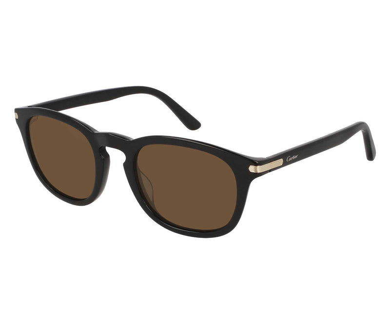 CARTIER_SUNGLASSES_CT0011S_001_SIDESHOT1