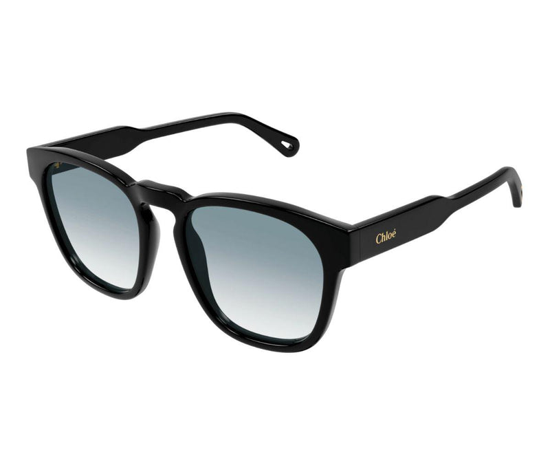 Chloe_Sunglasses_0160S_001_54_45