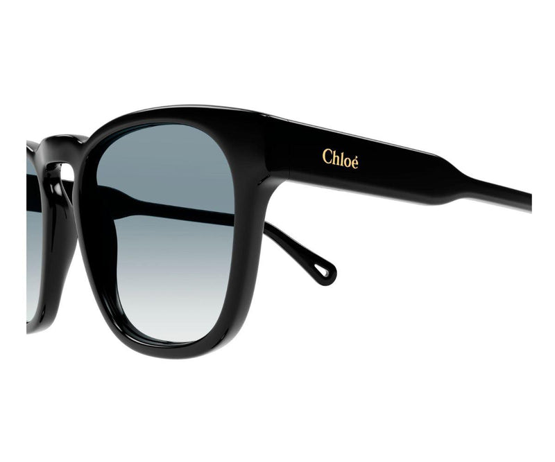 Chloe_Sunglasses_0160S_001_54_90