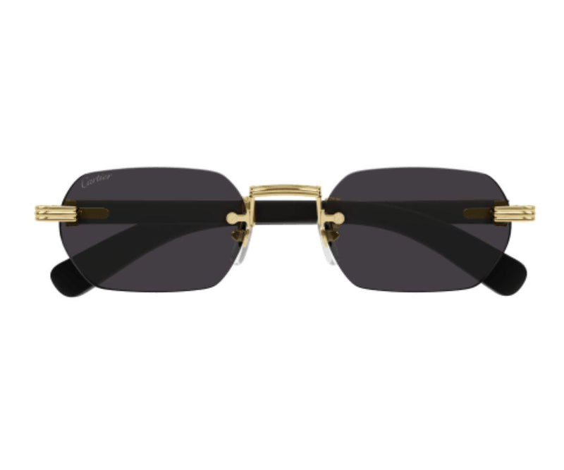 Cartier_Sunglasses_0362S_001_54_0