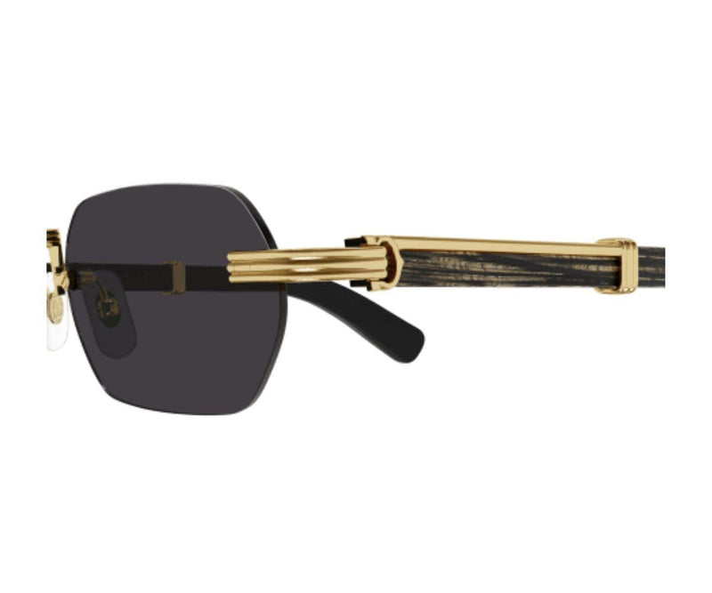 Cartier_Sunglasses_0362S_001_54_90