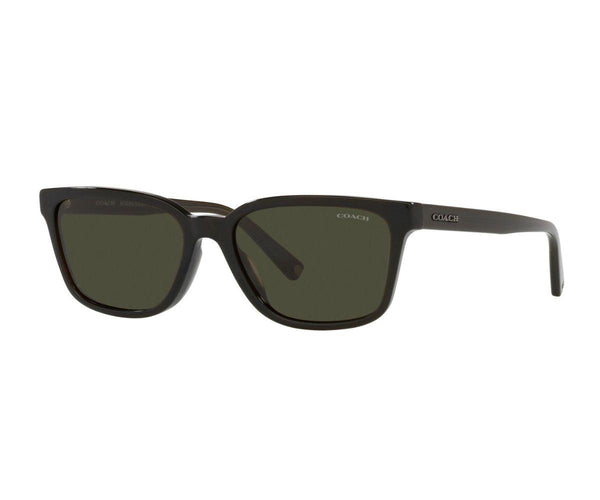 Coach_Sunglasses_8328U_5203/82_57_30