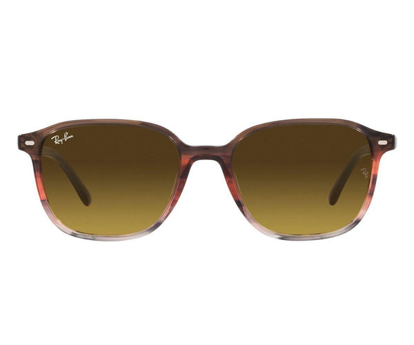 Rayban_Sunglasses_Leonard_2193_1380/85_53_0