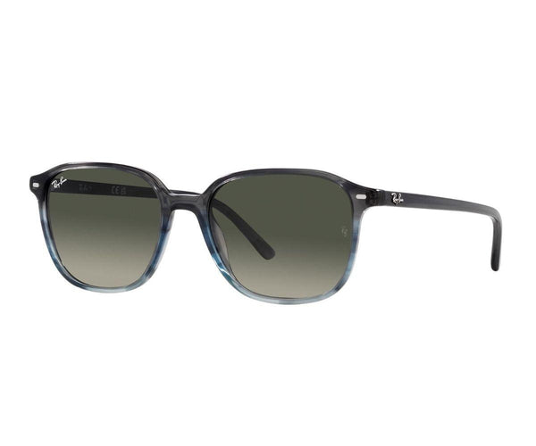 Rayban_Sunglasses_Leonard_2193_1381/71_53_30