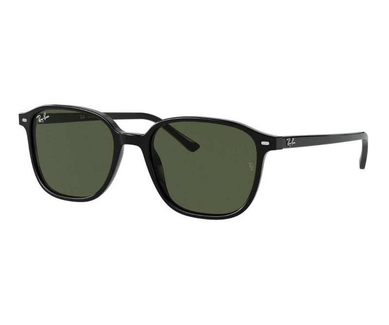 Rayban_Sunglasses_Leonard_2193_901/31_53_45