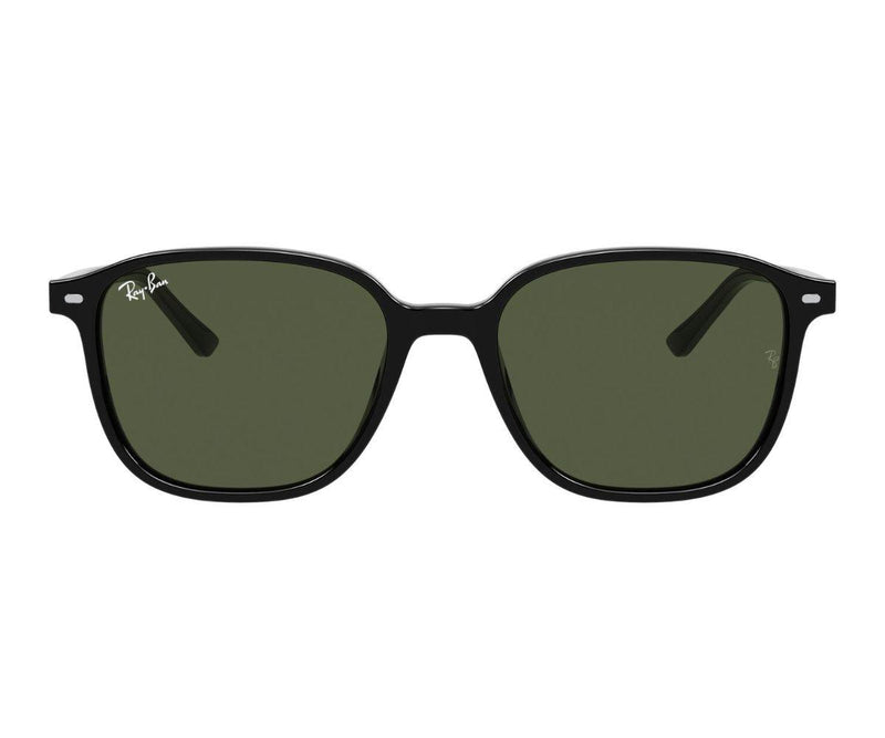 Rayban_Sunglasses_Leonard_2193_901/31_53_0